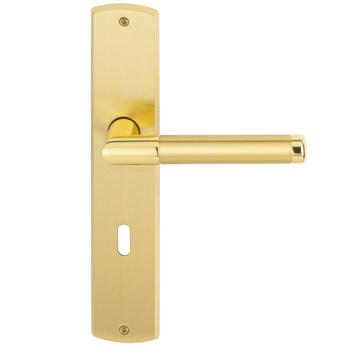 Polished / satin brass